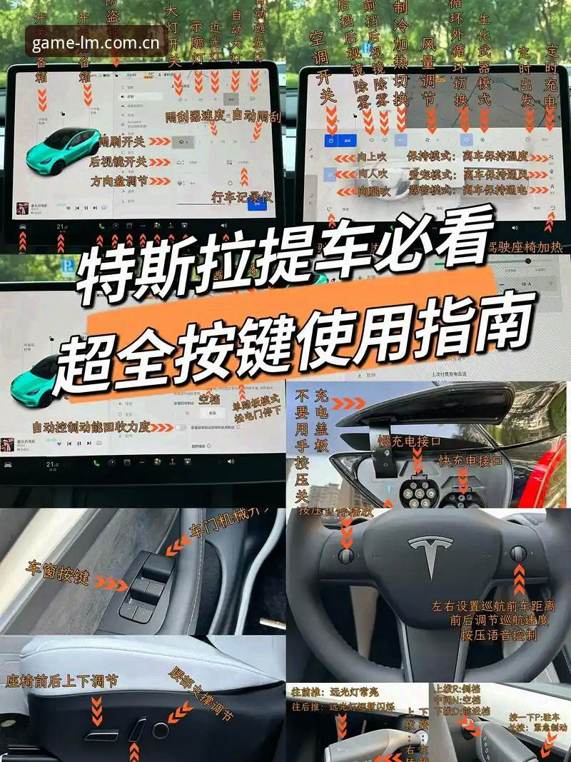 揭秘LM体育注册入口：从新手到老司机的完整指南