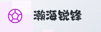 合作伙伴